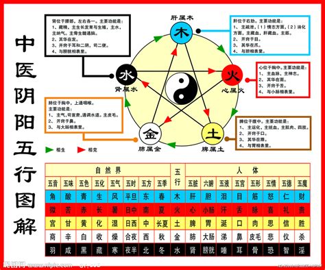 八卦 五行 屬性